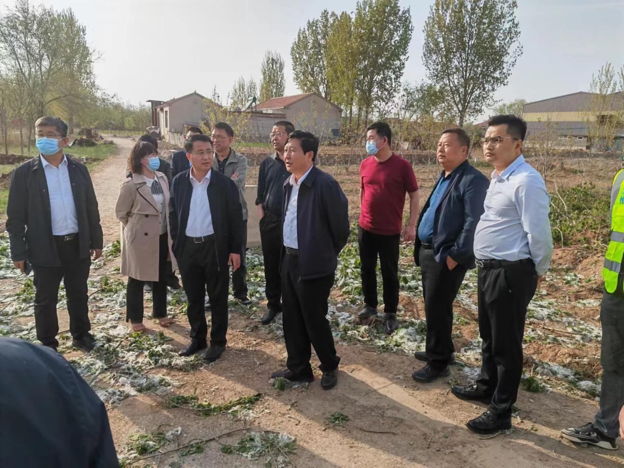 圖片1.png 圖片1.png