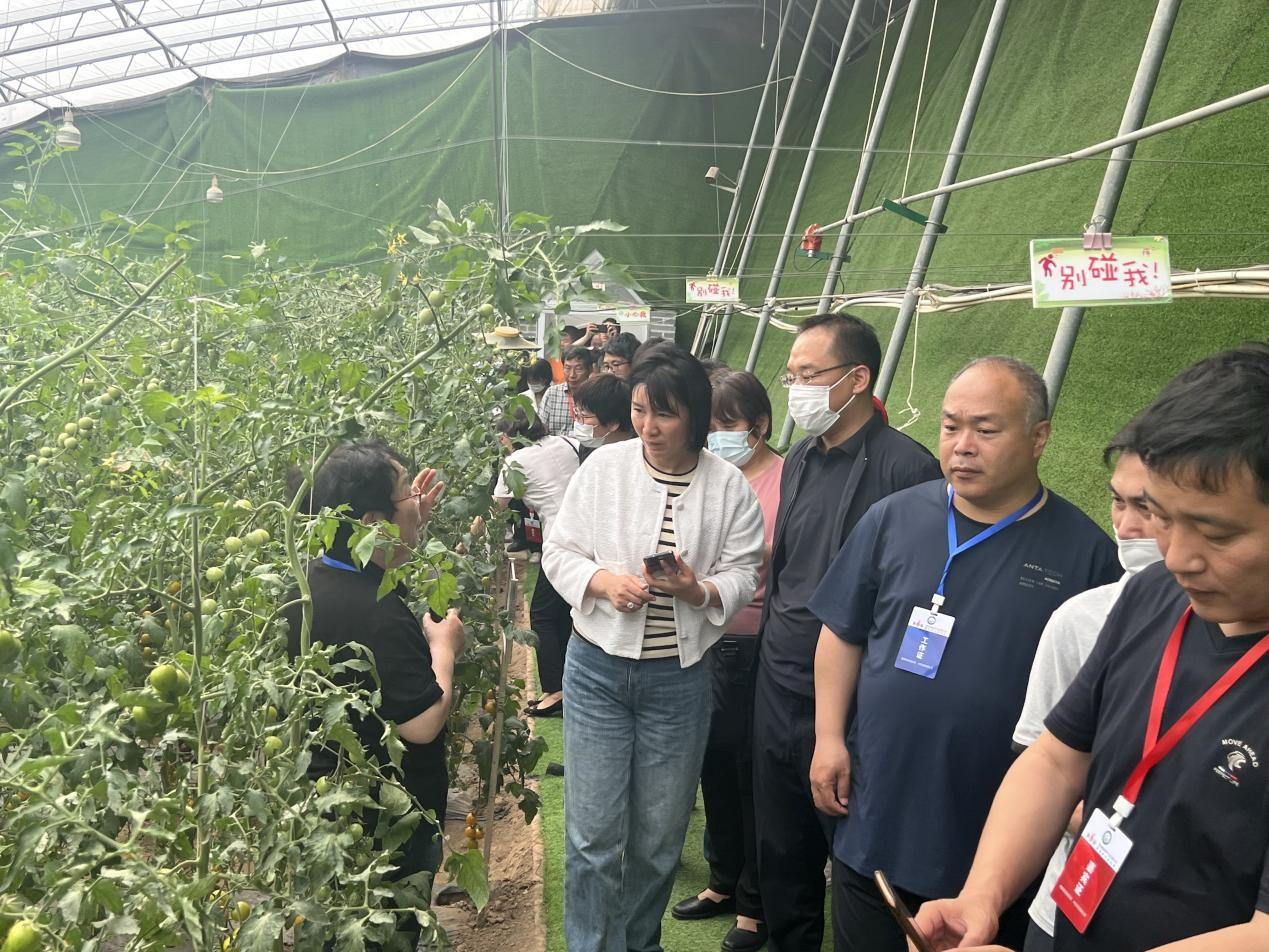 圖片1.png 圖片1.png